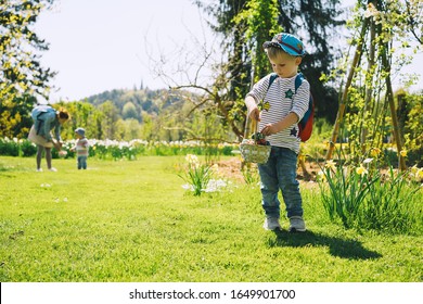 Little children gathering painted decoration eggs in spring park  Kids hunt for egg outdoors  Festive family traditional play game Easter  Colorful Easter eggs in basket 