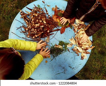 little children playing, expolring and gardening in the garden with soil, leaves, nuts, sticks, plants, seeds during a school activity - learning by doing, education and play in the nature concept.

 - Powered by Shutterstock