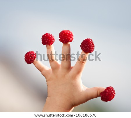 Little child's hand with raspberry 