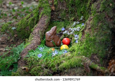 Little chocolate bunny in the woods