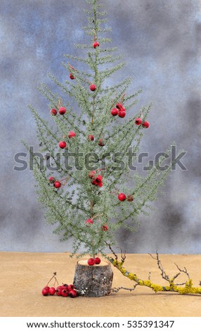 Similar – Image, Stock Photo snowflake (VI)