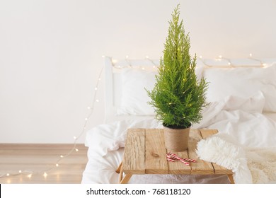 Little Christmas Tree In A Pot Standing On A Wooden Tray On Bed. New Year Tree, Fluffy Plaid, Candy Canes And Christmas Garland Lights On White Bedding. Home Christmas Decor. Cozy Modern Bedroom.