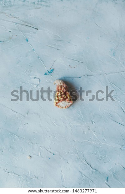 Little Corn Head Cut Amputation Circumcision Stock Photo 1463277971 ...