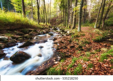 Little Creek Called Ilse In Harz Mountains