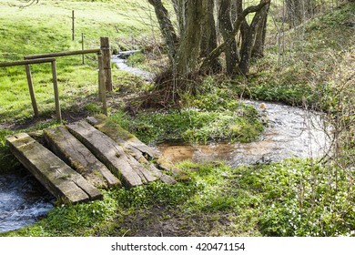 Little Creek In The Danish Landscape