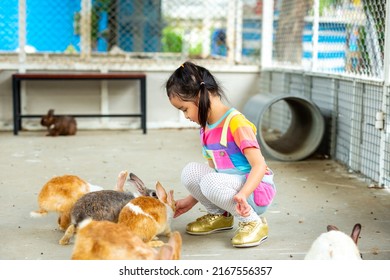 Little Cute Asian Child Girl Feeding Rabbit In The Park On Summer Vacation. Happy Children Kid Playing With Bunny In Spring Time. Children Education And Pet Love Concept