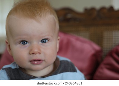 Portrait Beautiful Baby Boy Blond Hair Stock Photo Shutterstock