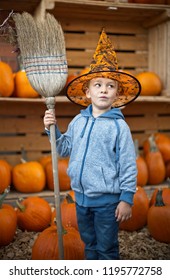 Little cute boy in halloween costume with pumpkins decoration on background 