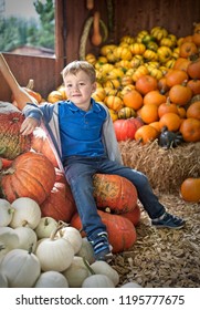 Little cute boy with pumpkins decoration on background 