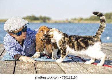 Little Cute Boy Is Sitting By The River With His Dog And Cat.They Enjoy Together On A Beautiful Sunny Day.Boy Hugging His Puppy And Cat.Growing Up, Love For Animals - Dogs, Free Time, Travel, Vacation