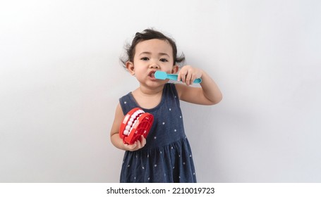 Little cute funny asian girl holding tooth jaw, toothbrush. Kid training oral hygiene. Child learning brushing, cleaning teeth. Prevention of caries in children. children dentistry. dental care kids - Shutterstock ID 2210019723