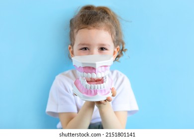 Little cute funny girl holding tooth jaw, dent. Kid training oral hygiene. Child learning brushing, cleaning teeth. Prevention of caries in children. children dentistry. dental care. kid dentist
