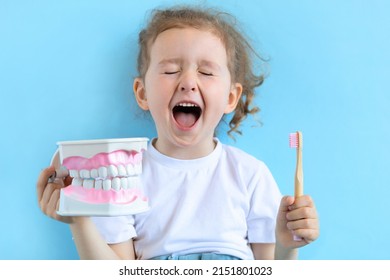 Little cute funny smiling girl holding tooth jaw, toothbrush. Kid training oral hygiene. Child learning brushing, cleaning teeth. Prevention of caries in children. children dentistry. dental care kids