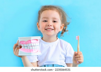 Little cute funny smiling girl holding tooth jaw, toothbrush. Kid training oral hygiene. Child learning brushing, cleaning teeth. Prevention of caries in children. children dentistry. dental care kids - Powered by Shutterstock