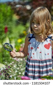 Little cute girl 4-5 years old with a magnifying glass in her hand. The child walks around the garden and studies plants and flowers.