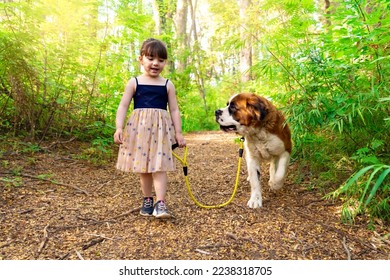 Little cute girl walking with big St. Bernard dog in the forest
