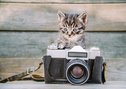 Little Cute Kitten With Vintage Photo Camera On A Wooden Table