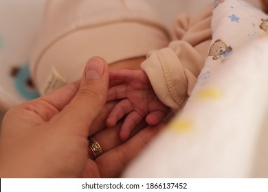 Little Cute Premature Baby Hand