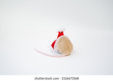 Little Cute Rat Or Mouse Introvert, Christmas Concept 2020 Year, Gold Rat With Santa Claus Hat With Copy Space