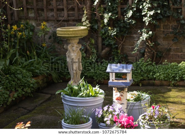 Little Cute Robin Bird Eats Birdseed Stock Image Download Now