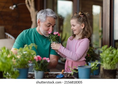 Little daughter helping father to plant flowers, home gardening concept - Powered by Shutterstock