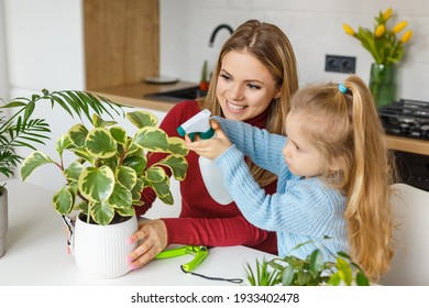 Little Daughter And Mother Spraying And Cleaning Houseplants At Home. Concentrated 3 Year Old Kid Helping Mom To Care Plants. Concept Of Hobby, Preschool Leisure And Parenting