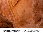 Little Death Hollow, Escalante-Grand Staircase National Monument, Utah