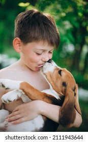 Little Dog licking boy's nose and lips