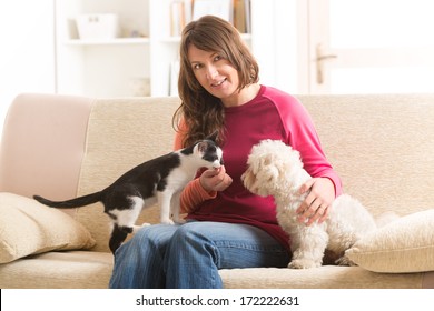 Little Dog Maltese And Black And White Cat Sitting With Owner On The Sofa In Home