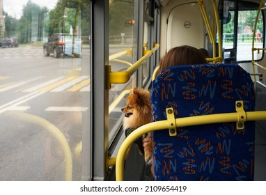 are there any bus lines that allow dogs