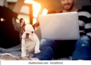 Little doggie looking at camera with paw on man's leg. Man watching film on background.