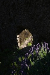 Little Doorway On The Pico To Pico Hike With The Pride Of Madeira Flowers