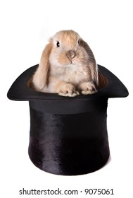 Little Easter Bunny As A Surprise In A Top Hat