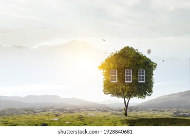 Kleines Eco-Haus auf grünem Gras