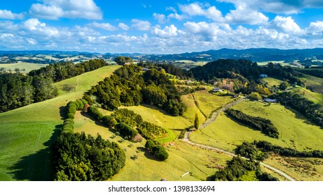 Little farms, vineyards and orchards on a sunny day. Auckland, New Zealand
