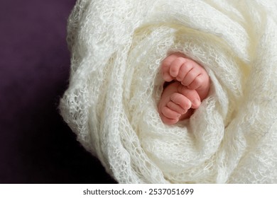 little feet a newborn baby in a white scarf. soft focus - Powered by Shutterstock