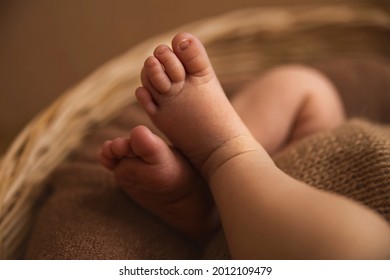 Familie Und Baby Stockfotos Bilder Und Fotografie Shutterstock