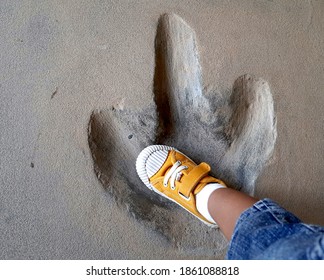 A Little Foot Of Children On A Big Footprint Of Dinosaur.