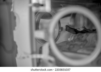 Little Foot Of Newborn Baby In Incubator