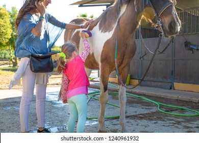 little four years old girl taking care and brushing a horse with her mother outside of stables in a riding center - Powered by Shutterstock