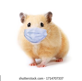 Little Funny Hamster In Medical Mask Isolated On White Background