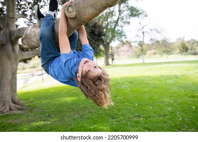 40,728 Funny climbing Images, Stock Photos & Vectors | Shutterstock