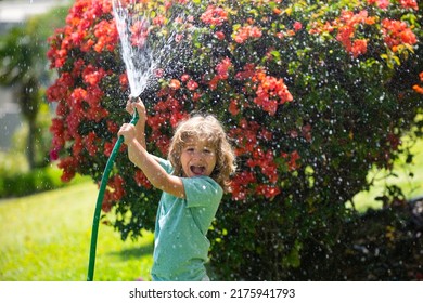 Little Gardener Child Helping To Watering Flowers With Garden Hose In Summer Garden. Seasonal Yard Work.