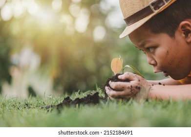 The little gardener's face was watching the trees grow. - Shutterstock ID 2152184691