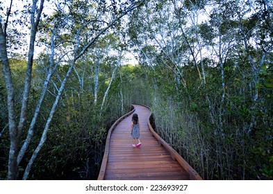 Little Girl (age 04) Visit In Coombabah Lakelands In Gold Coast Queensland, Australia. Real People. Copy Space