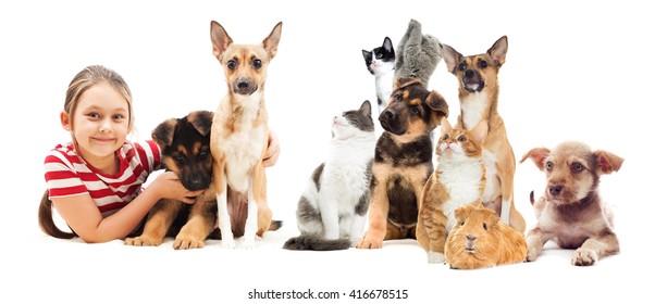 Little Girl Animals Set Stock Photo 416678515 | Shutterstock