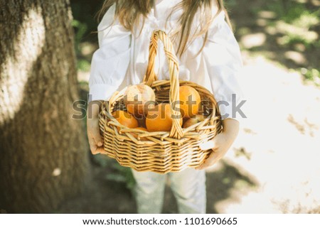 Similar – Image, Stock Photo Little girl looking apples in basket with harvest