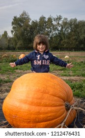 Little Girl Behind A Huge Pumpkin