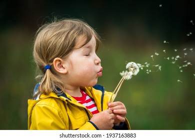 Little Girl Blowing On Dandelion. Future Generation. Windmills. Renewable Energies And Sustainable Resources - Wind Mills. Child Playing And Discovering Green Energy. Wind Turbine. Environment