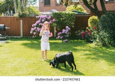 Little girl blowing soap bubbles and playing with the dog on a green lawn in the garden. Having fun with domestic animals. Love animals concept. School holidays at home. Selective focus.